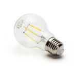 Lampadina LED E27/1W/230V bianco 5500-6500K