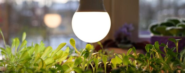 L Illuminazione Led Pu Davvero Sostituire I Pesticidi Ledleditalia It