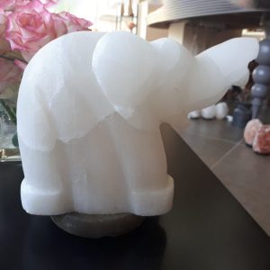 Foto principale Lampada di Sale Himalayano Bianco naturale a forma di Elefante