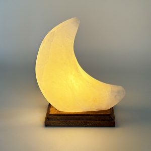 Foto principale Lampada di Sale Himalayano Bianco naturale a forma di Luna 3-4Kg