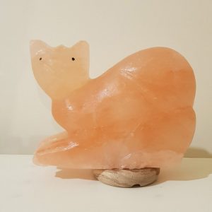 Foto principale Lampada di Sale Himalayano Rosa naturale a forma di Gatto Seduto 3-4Kg