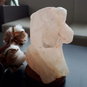 Foto principale Lampada di Sale Himalayano USB Rosa naturale a forma di Delfino 750gr