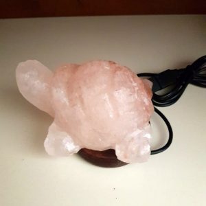 Foto principale Lampada di Sale Himalayano USB Rosa naturale a forma di Tartaruga 600gr