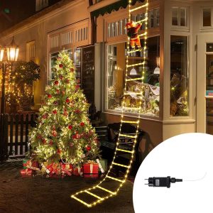 Foto principale Babbo Natale su scaletta luminosa 266 Led Bianco caldo e Bianco freddo dimmerabile con telecomando Wisdom