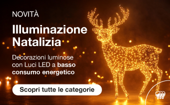 Illuminazione Natalizia 2024