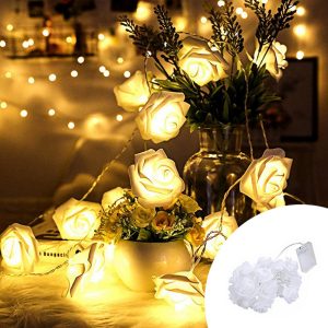 Foto principale Catena decorata con 10 Rose luminose a Led Bianco Caldo fisso e intermittente 1 metri a batteria Wisdom